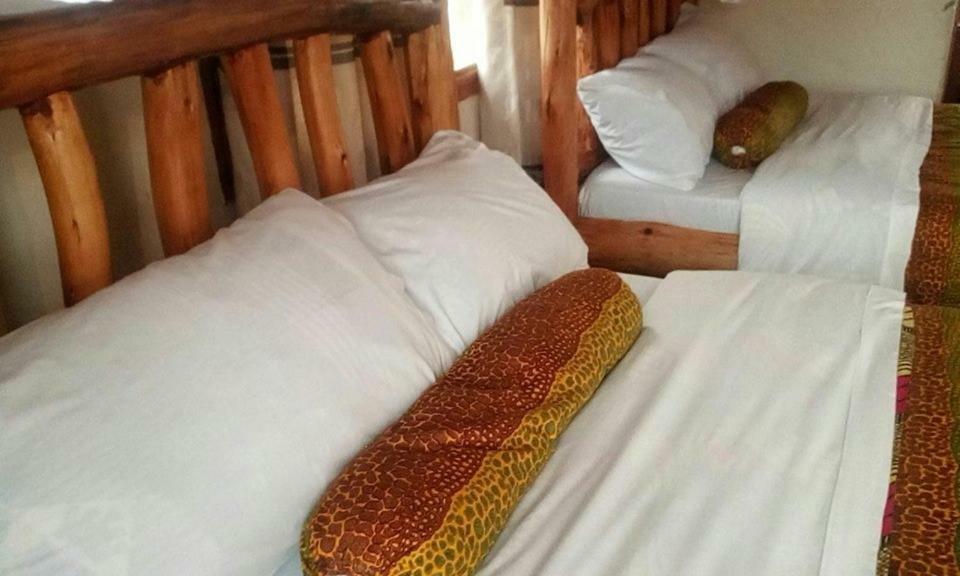 Tembo Safari Lodge Katunguru ภายนอก รูปภาพ
